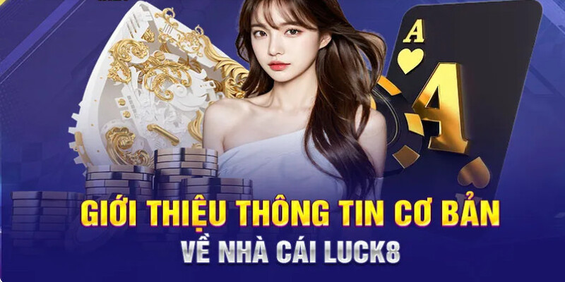 Giao diện của nhà cái Luck8 vô cùng sang trọng